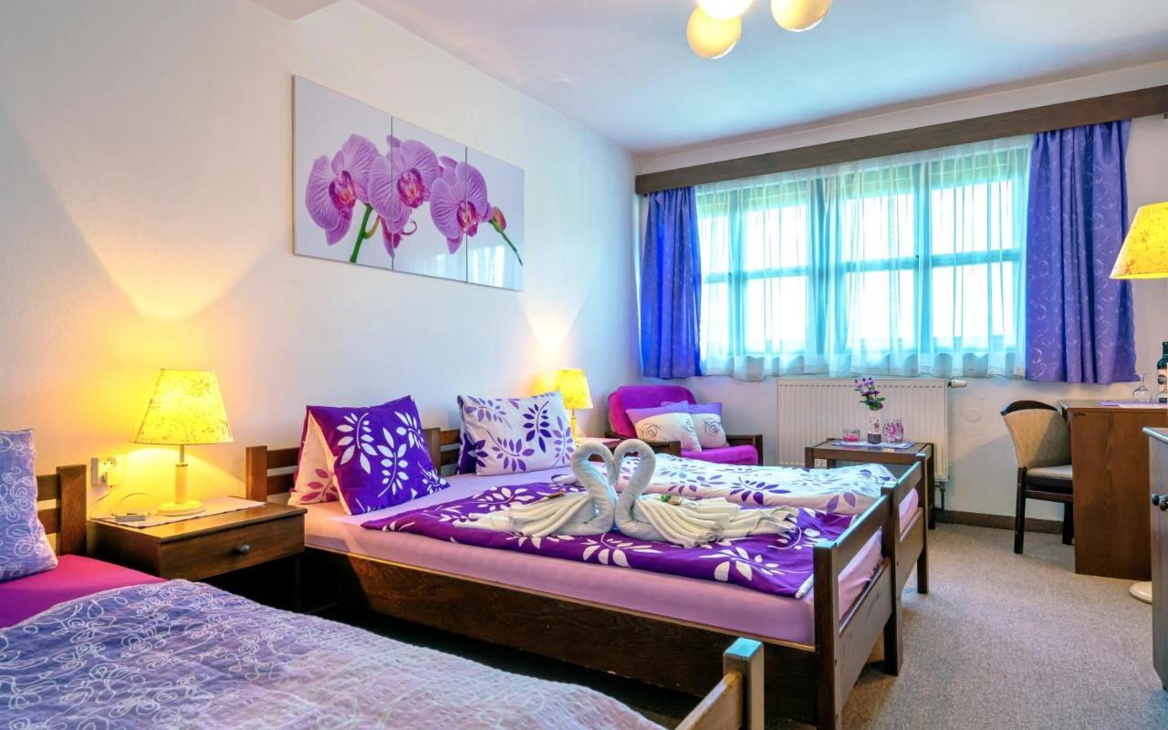 Hotel Stara Skola Na Sumave Горжице-на-Шумаве Экстерьер фото