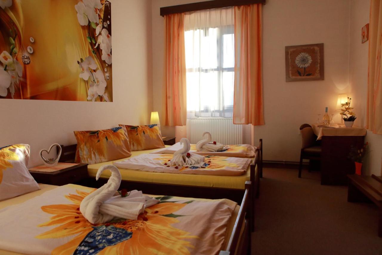 Hotel Stara Skola Na Sumave Горжице-на-Шумаве Экстерьер фото