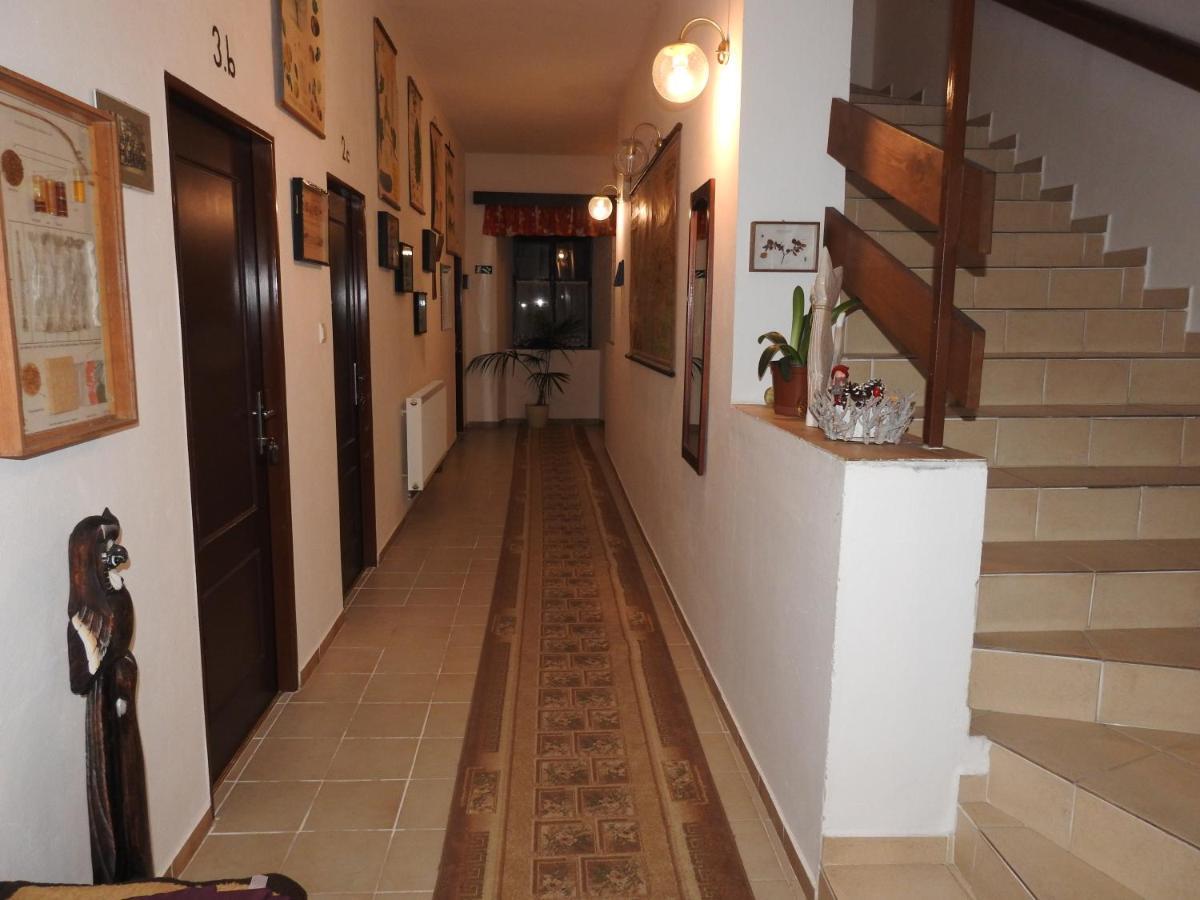 Hotel Stara Skola Na Sumave Горжице-на-Шумаве Экстерьер фото