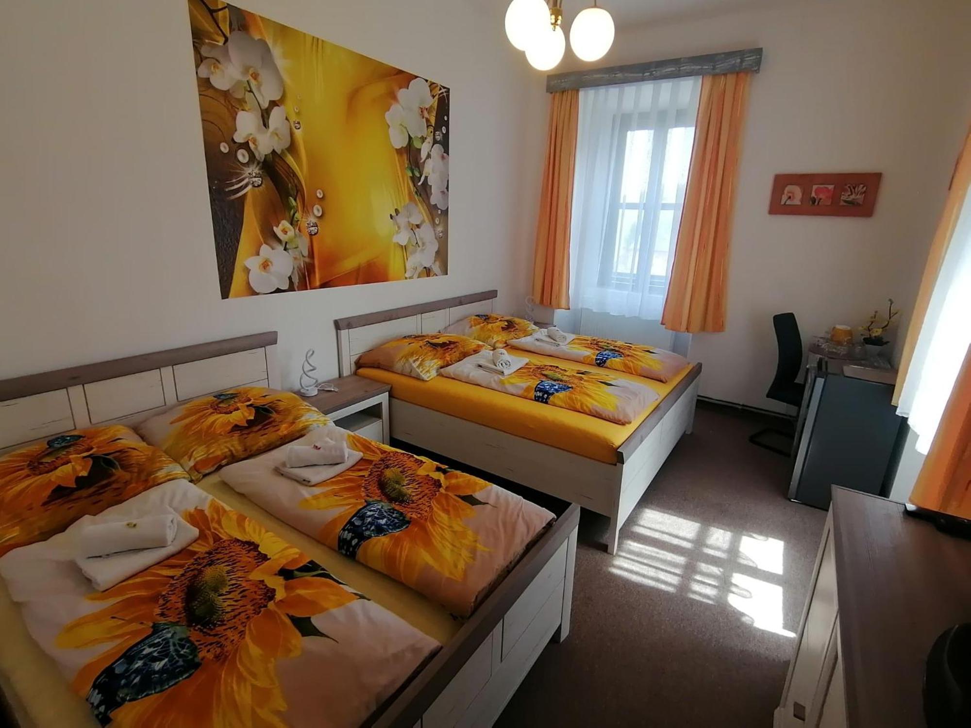 Hotel Stara Skola Na Sumave Горжице-на-Шумаве Экстерьер фото