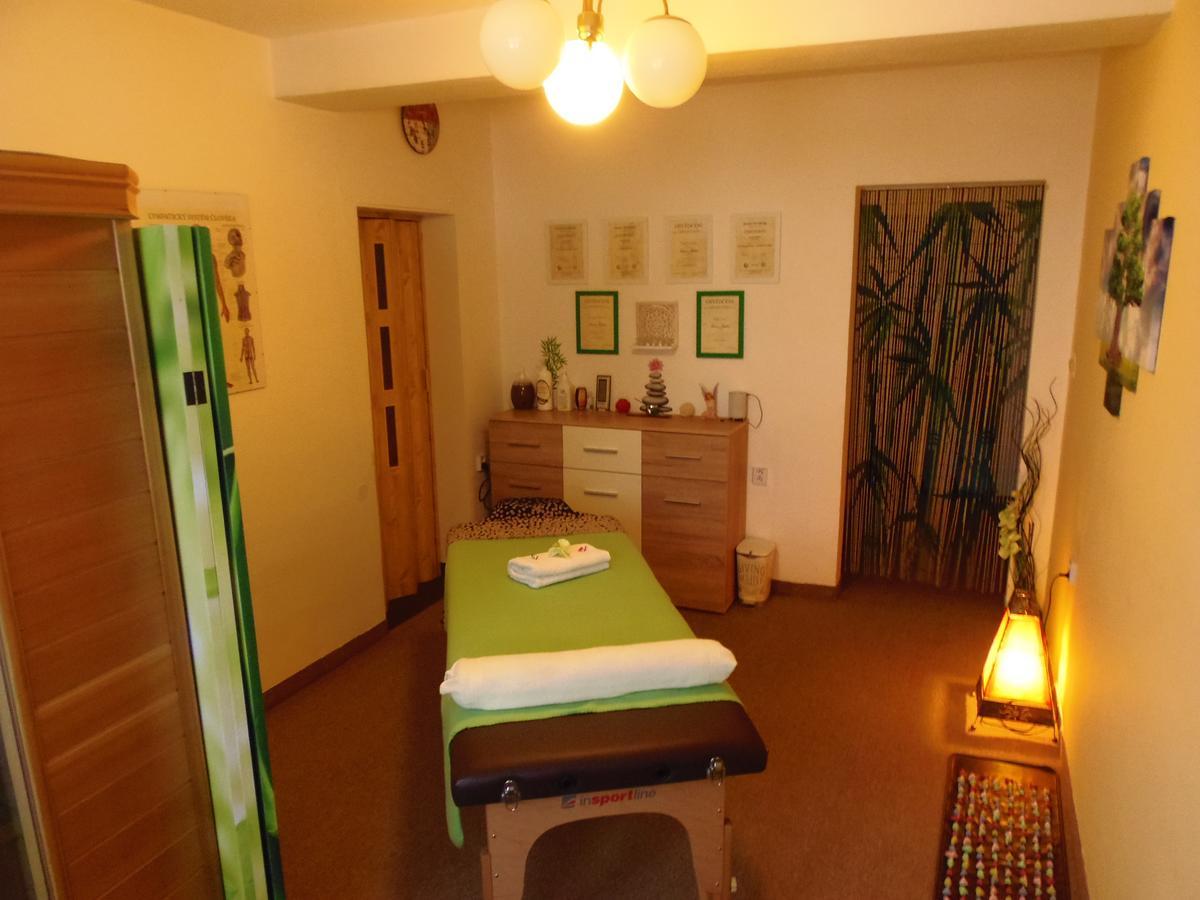 Hotel Stara Skola Na Sumave Горжице-на-Шумаве Экстерьер фото
