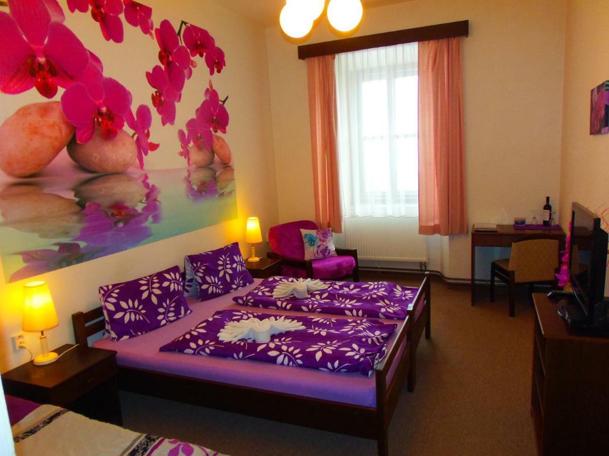 Hotel Stara Skola Na Sumave Горжице-на-Шумаве Экстерьер фото